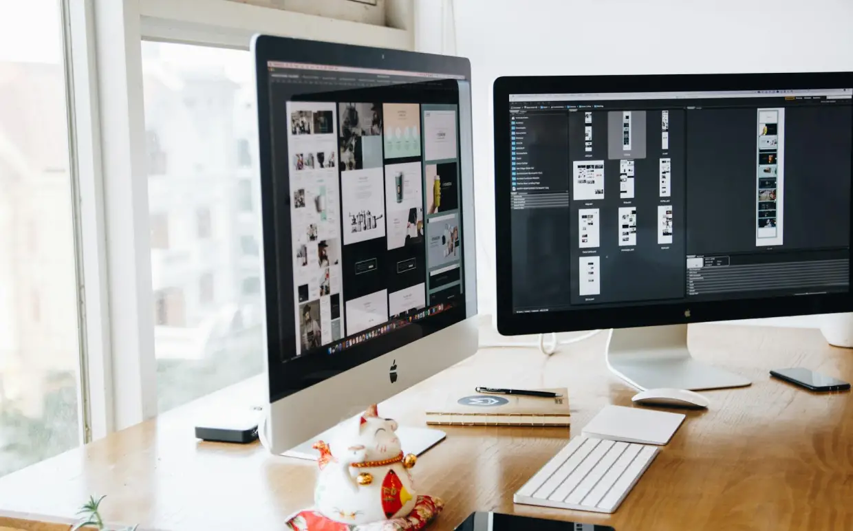 Design & Development