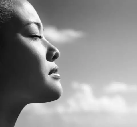 mindful-marketing-480x445